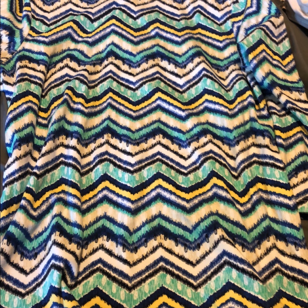 Kim Rogers L Petite Blouse.